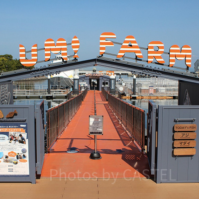 うみファーム