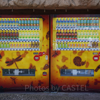 ユニバの自動販売機：ジュラシック・パーク・ザ・ライド前