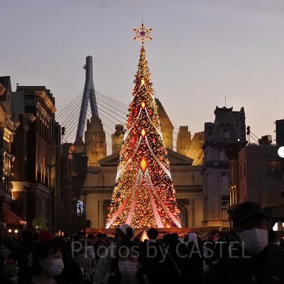ユニバのクリスマスツリー（過去撮影）