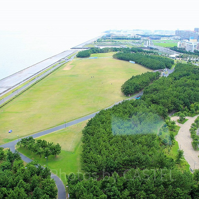 浦安市総合公園