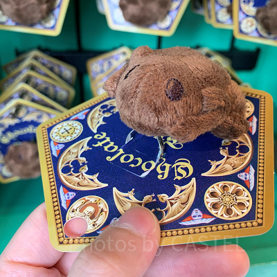 USJ/蛙チョコレートのブラッシュリング