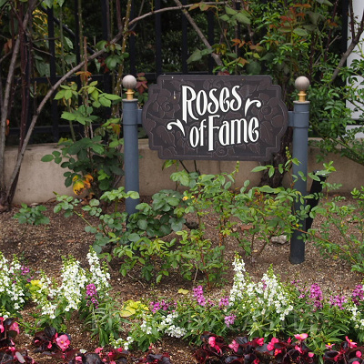 USJの「ローズ・オブ・フェイム」