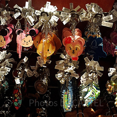 アウラニで販売しているキーホルダー各種