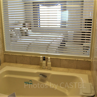 バスルームからの眺め