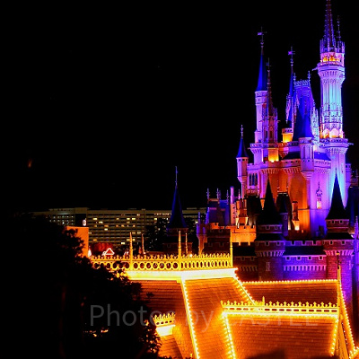 スイスファミリー・ツリーハウスからディズニーランドが一望できる！