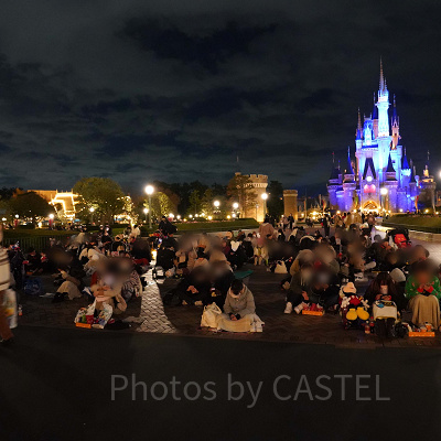 シンデレラ城前の鑑賞スペース