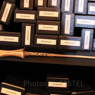 ヴォルデモートの杖