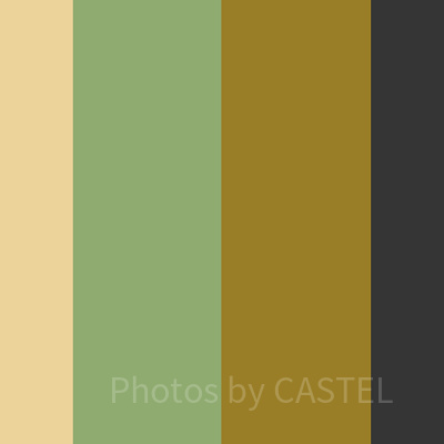 ワサビ（普段着）コーデのカラー