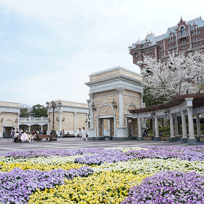 ウォーターフロントパークの桜