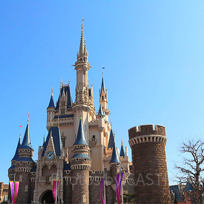東京ディズニーランド シンデレラ城での結婚式のプラン