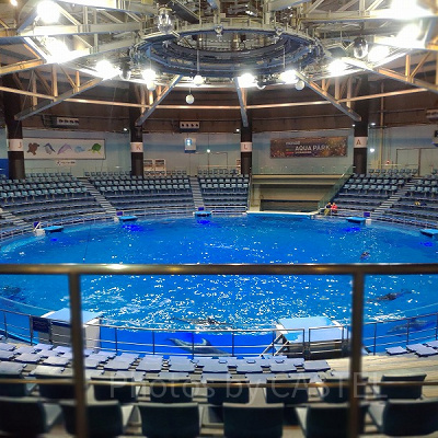 平日夜は比較的閑散期になっています