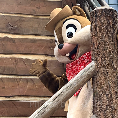 ウエスタンランドのフリーグリーティング