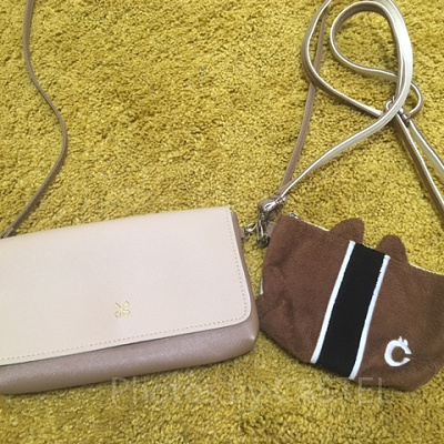 バッグには何を持って行く？