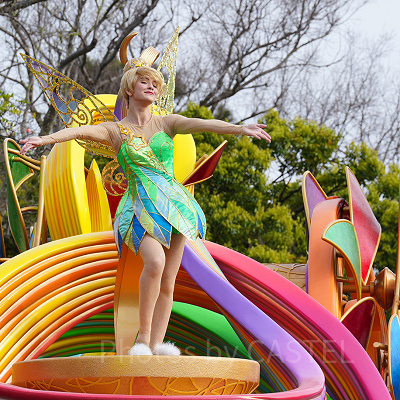 ディズニー・ハーモニー・イン・カラーとは