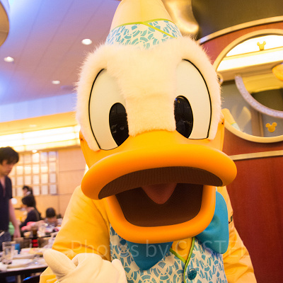 ドナルドダックのスゴイ経歴とは