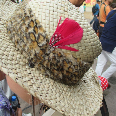 帽子についた赤い羽根の正体は…？