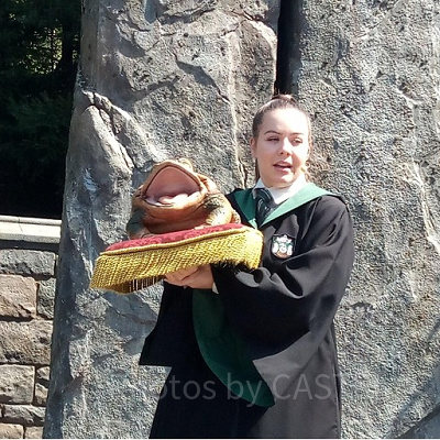 「フロッグ・クワイア」のタイムスケジュールは？