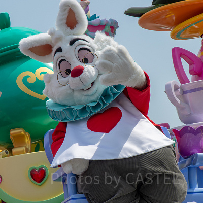 ホワイトラビットとは