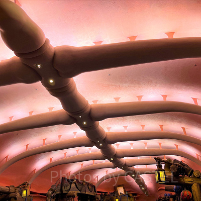 スリーピーホエール・ショップはどんなお店？