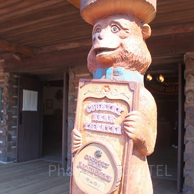 カントリーベア・シアターの見どころは？