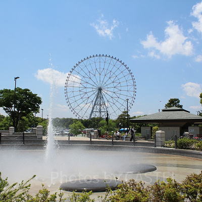 葛西臨海公園でできること・5つのゾーン