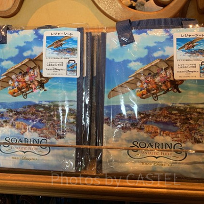 実際は必要なかった持ち物⑩レジャーシート