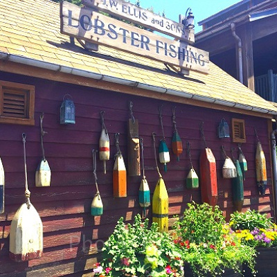 ケープコッドの地名の由来とは？