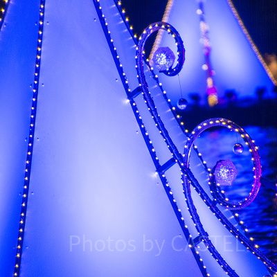 カラー・オブ・クリスマスの観賞場所