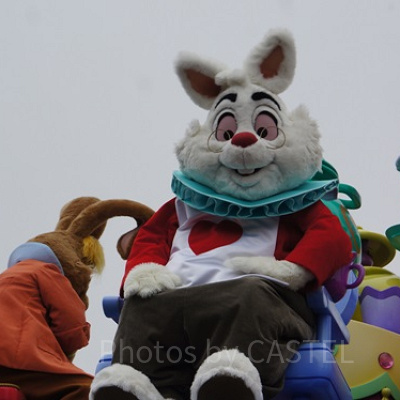 ホワイト・ラビット