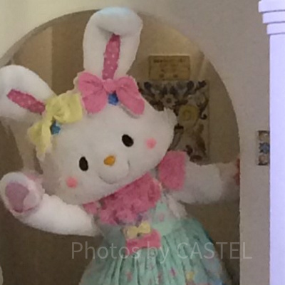 ウィッシュミーメル