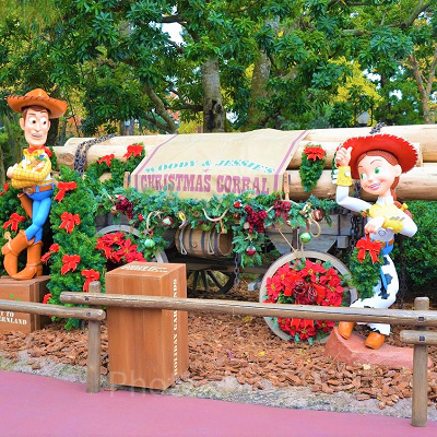 ウッディのプロフィール