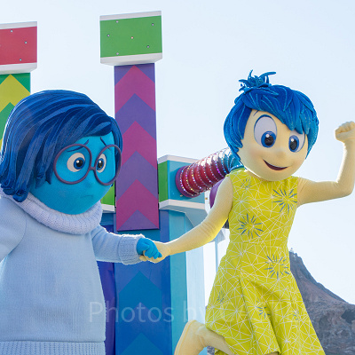 ヨロコビとカナリミ（インサイドヘッド）