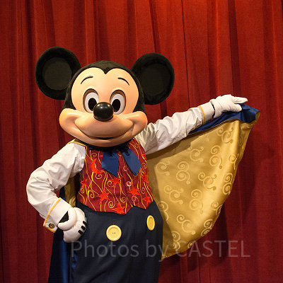 ミッキーとおしゃべりできる！？