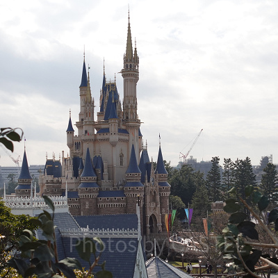 シンデレラ城も見える！