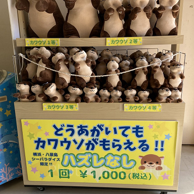 どうあがいてもカワウソがもらえる!!
