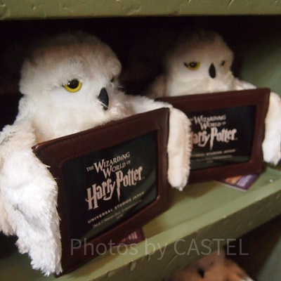 写真を撮って思い出作りもできて楽しい時間が過ごせます