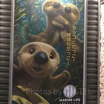 ファインディング・ドリーにも登場したキャラクターにもあえるかも！