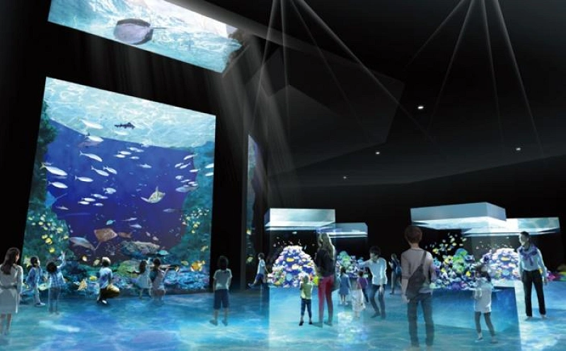 Suma Dolphin Live CD 須磨海浜水族園　サントラ　廃盤 神戸・須磨海浜水族園のリニューアル情報まとめ！再開後はシャチが