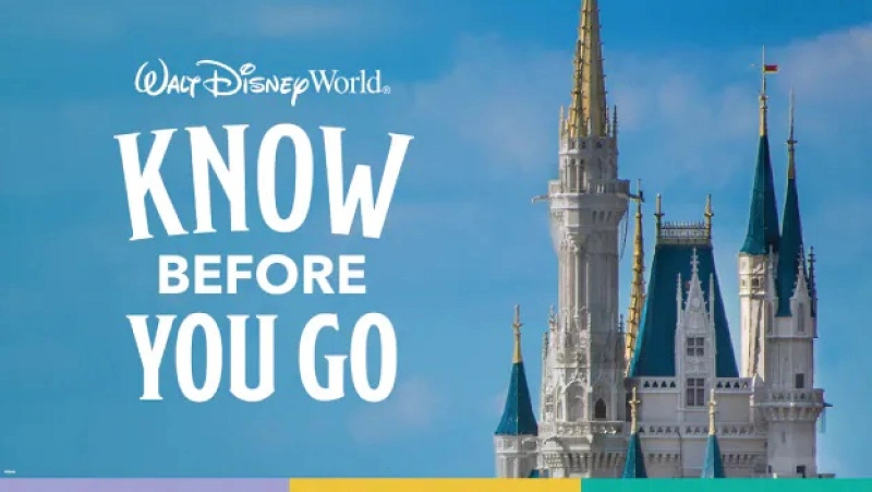 2022年に行きたい海外ディズニー！50周年のWDWに行く前に知って
