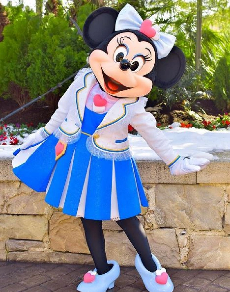 TDR ミッキー&ミニー2人でハートポーズ