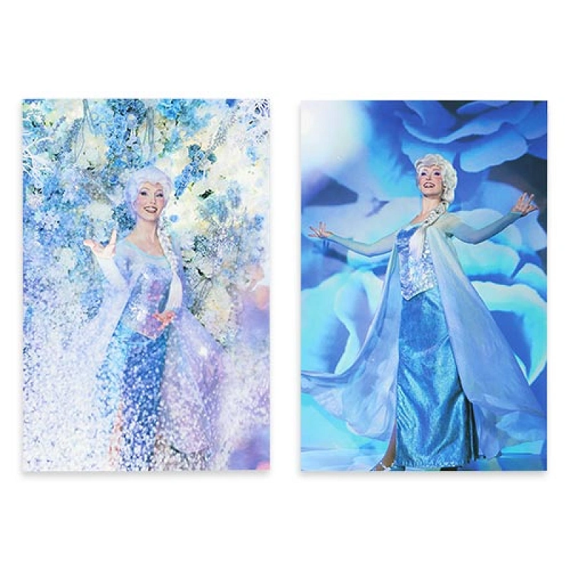 ディズニー】『アナと雪の女王』グッズ全30種まとめ！アナやエルサが