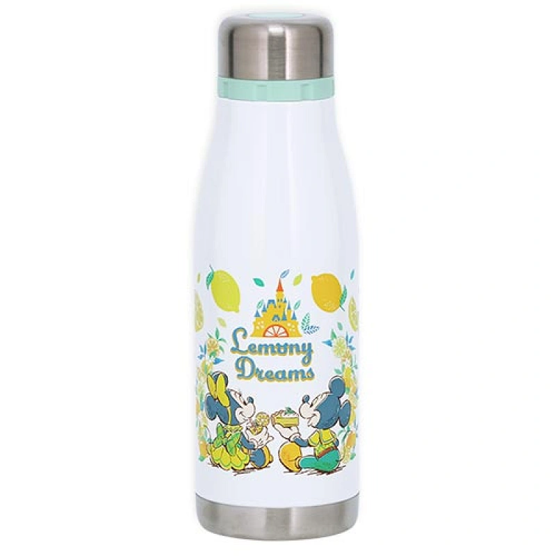 stainless-steel-bottle-disney-
