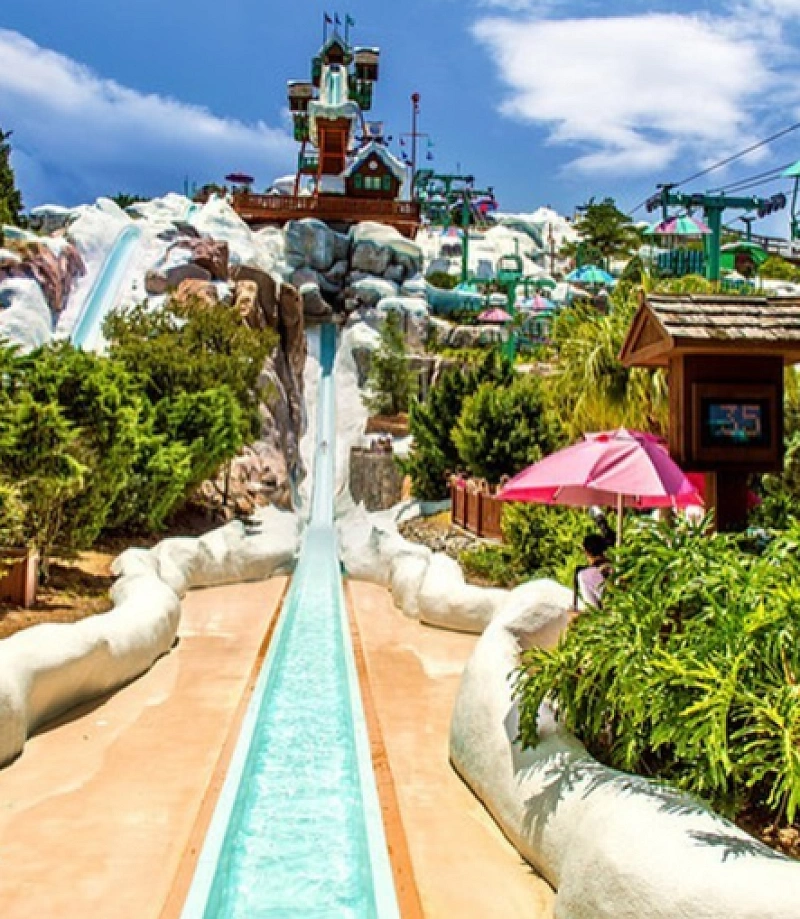 WDW元キャストが伝授！ブリザードビーチとは？フロリダディズニーへ行