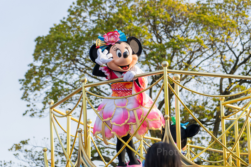 トータリー・ミニーマウス鑑賞レポ】夏祭りバージョン！「ミニー