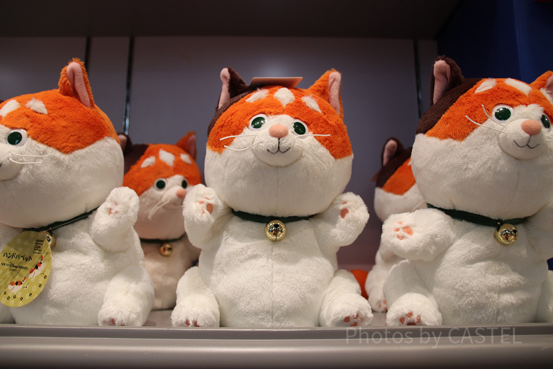 【ベイマックスの猫】「モチ」を解説！プロフィール＆グッズまとめ！映画のトリビアやパーク情報についても！
