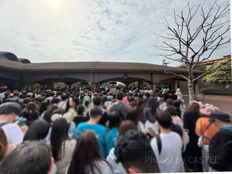 【予想】ディズニーシーのエントランス工事で何ができる？現在の工事の進捗やランドの例から工事後の姿を予想！