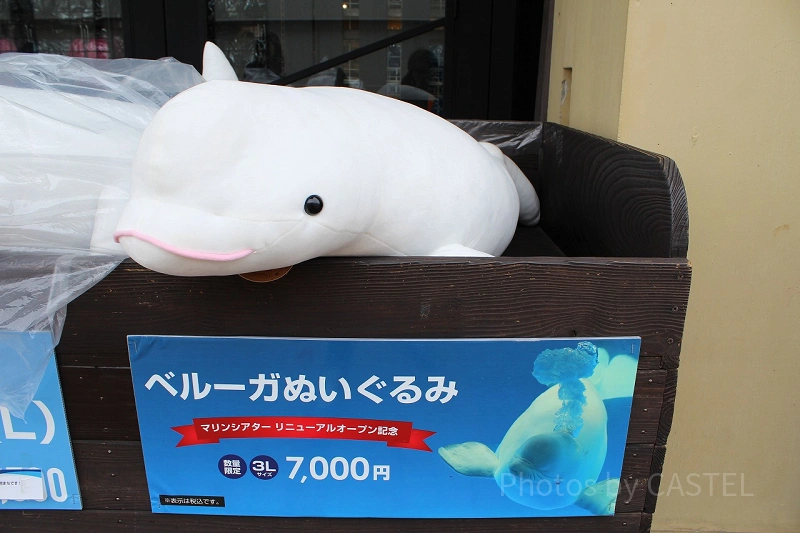 期間限定特別価格 鴨川シーワールド ガチャ ベルーガ