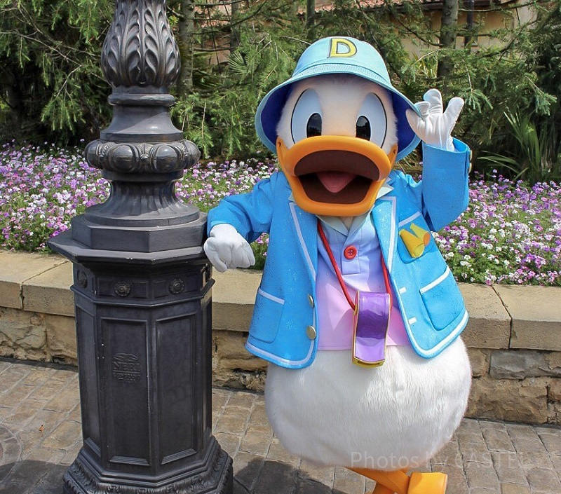 ディズニーのフリグリのコツを伝授！キャラクターと一緒に写真を撮るコツとは？