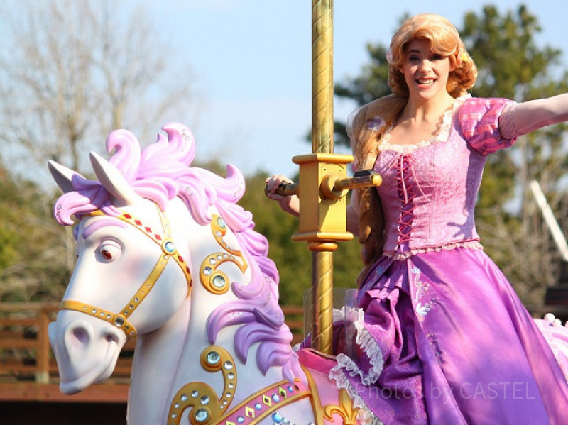 ディズニー アリエル ベル 白雪姫 エルサ アリス ジャスミン