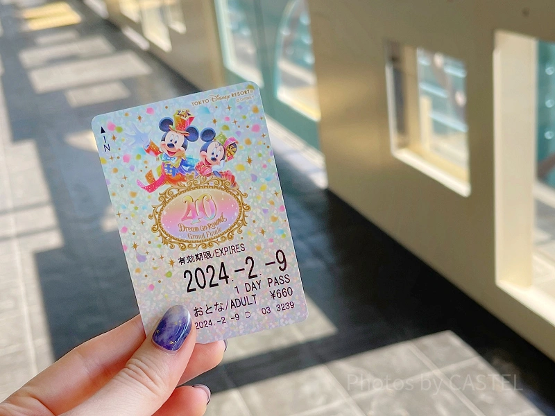 東京ディズニーリゾートライン使用済みきっぷ2枚とダッフィー&フレンズのカード 鉄道